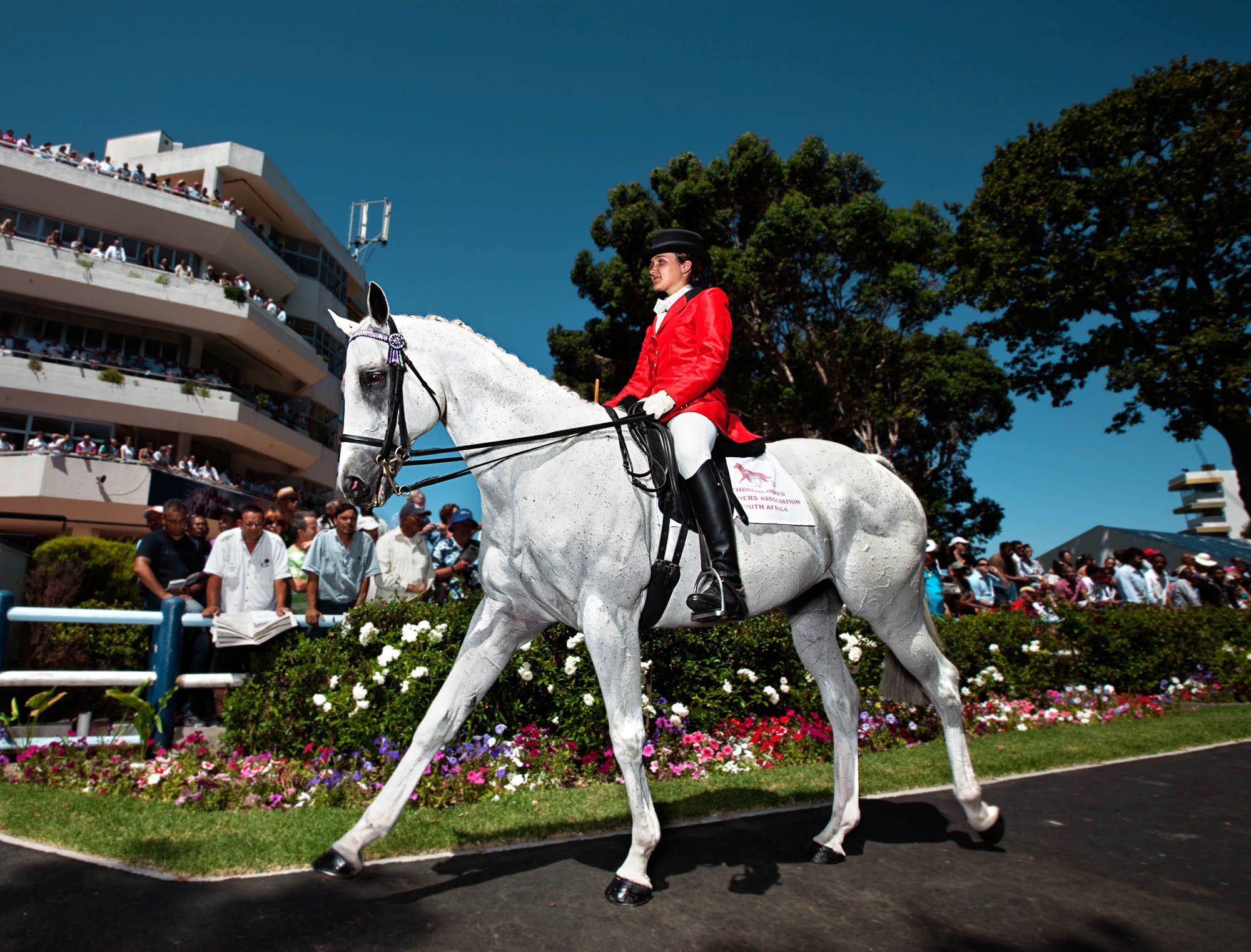 L’Ormarins Queen’s Plate